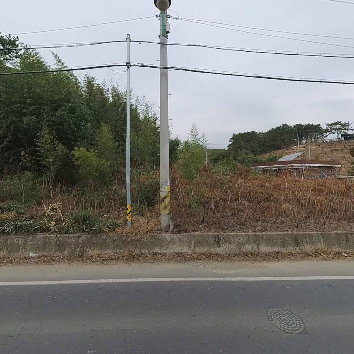 동일목재_3