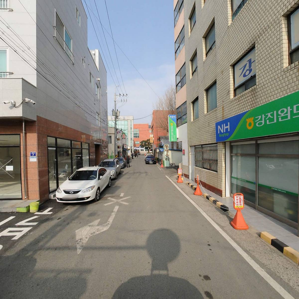 강진군야구소프트볼협회_2