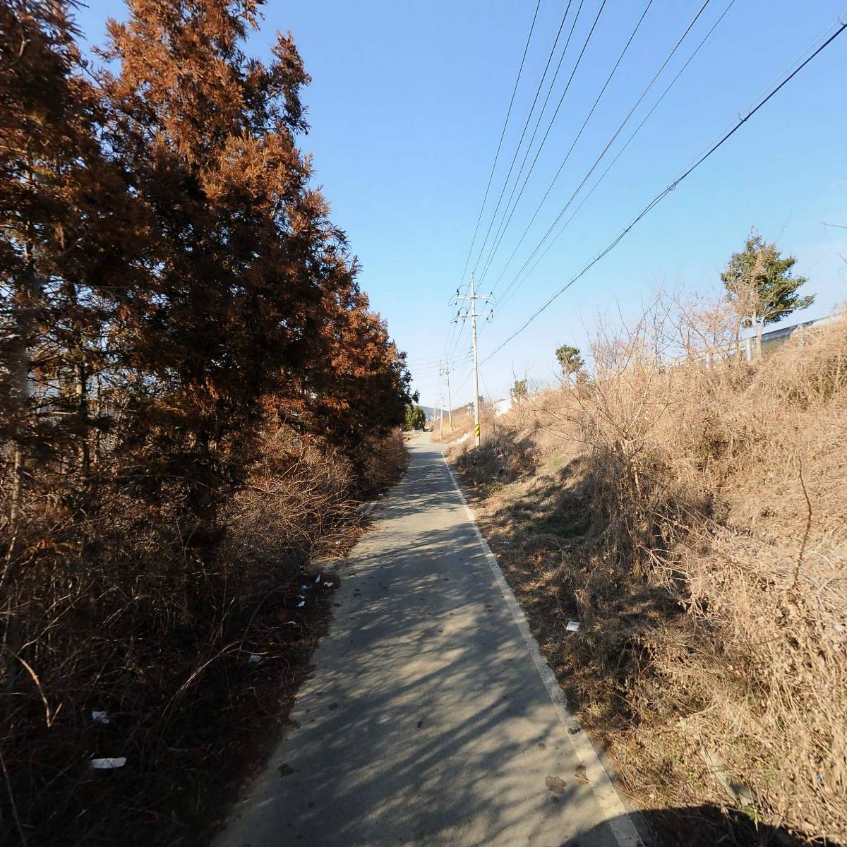 동오식품상사_2