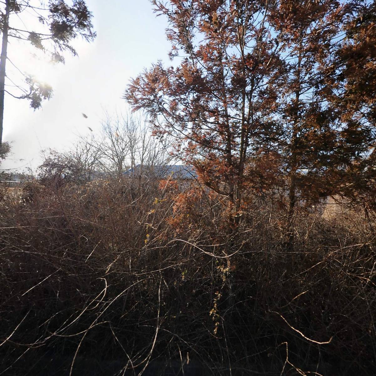 동오식품상사