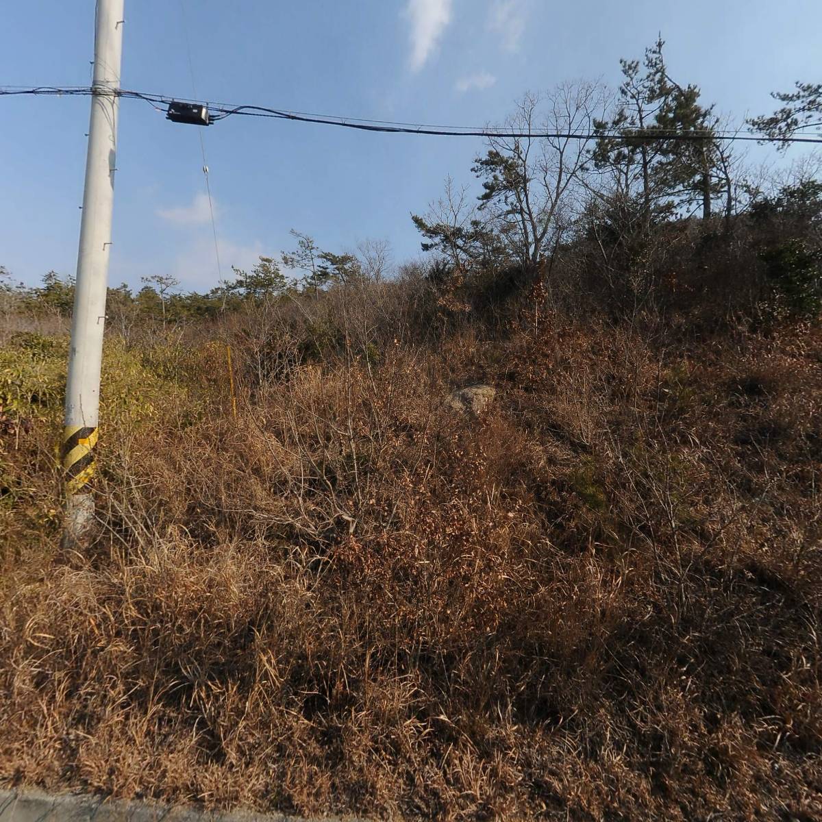 청우물산