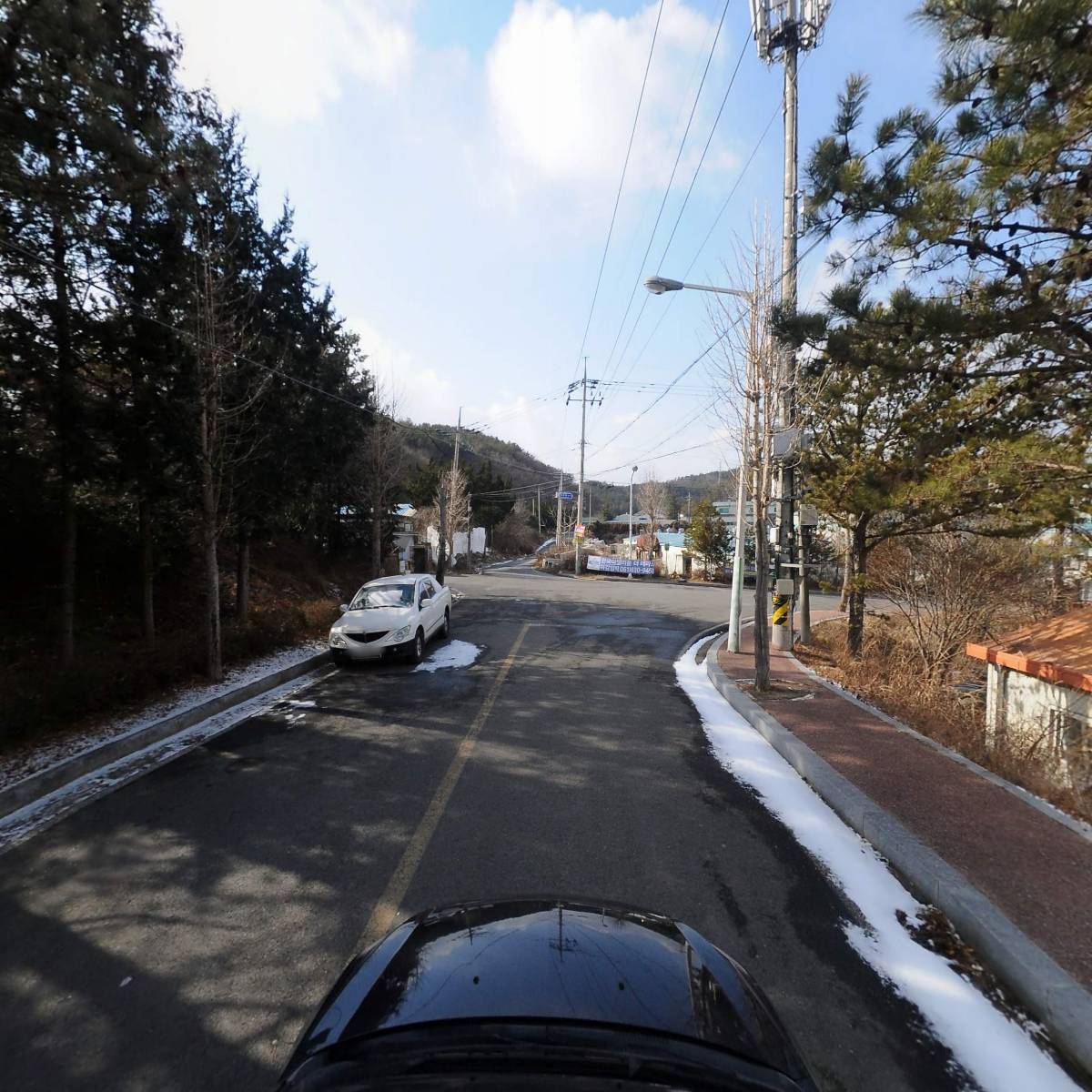 (주)보성녹차김치_4