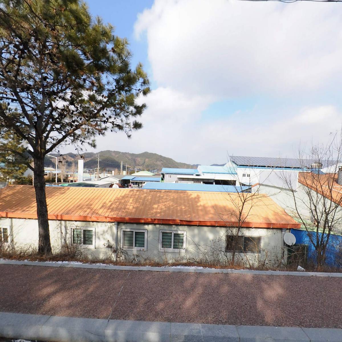 (주)보성녹차김치