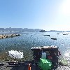밤섬횟집_3