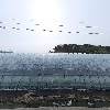 두미팜