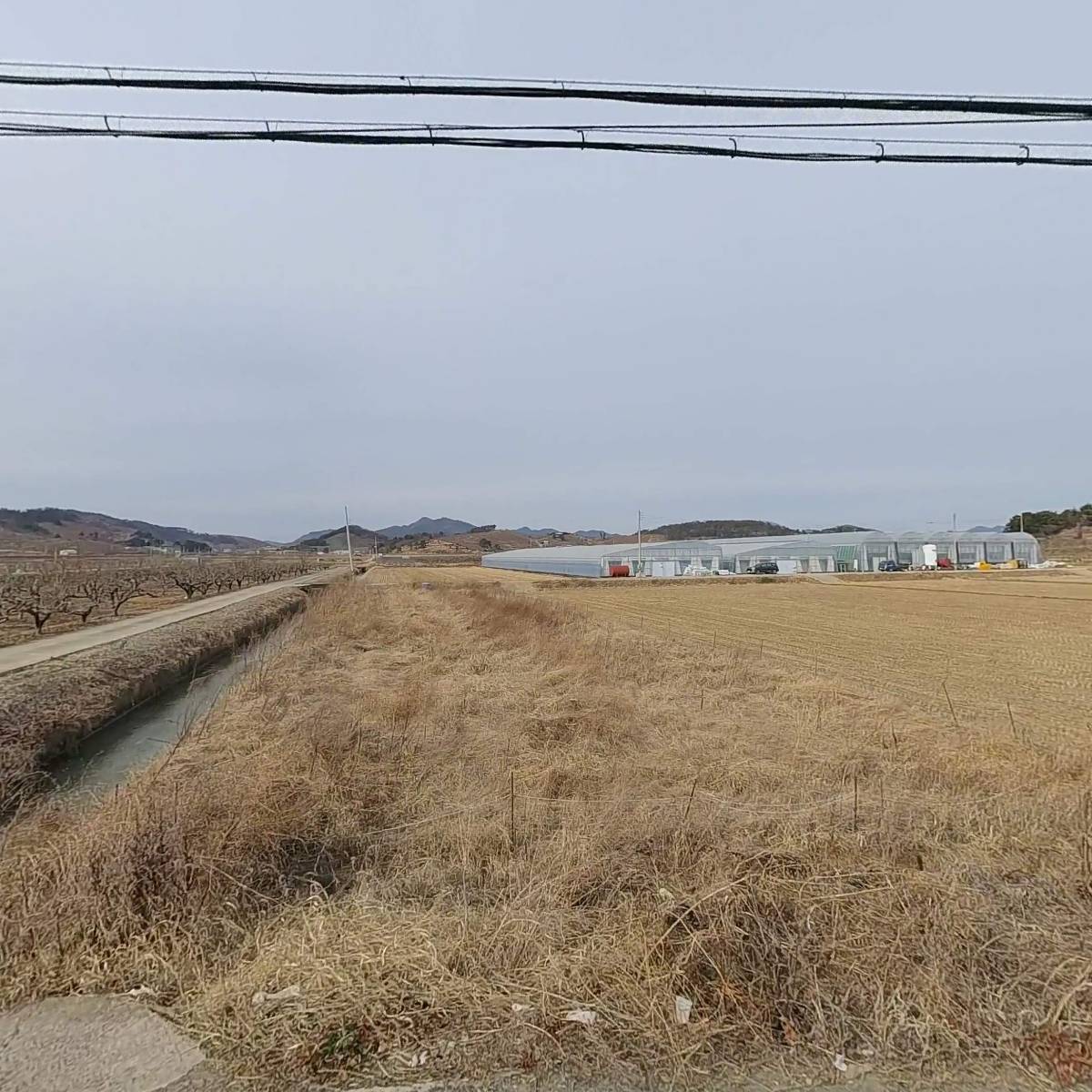 주식회사 미리내 농업회사법인