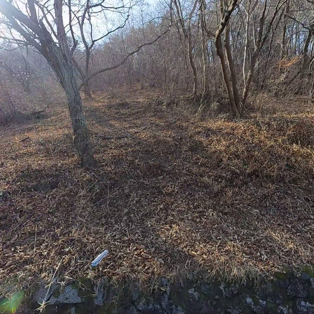 한국불교태고종 관음정사