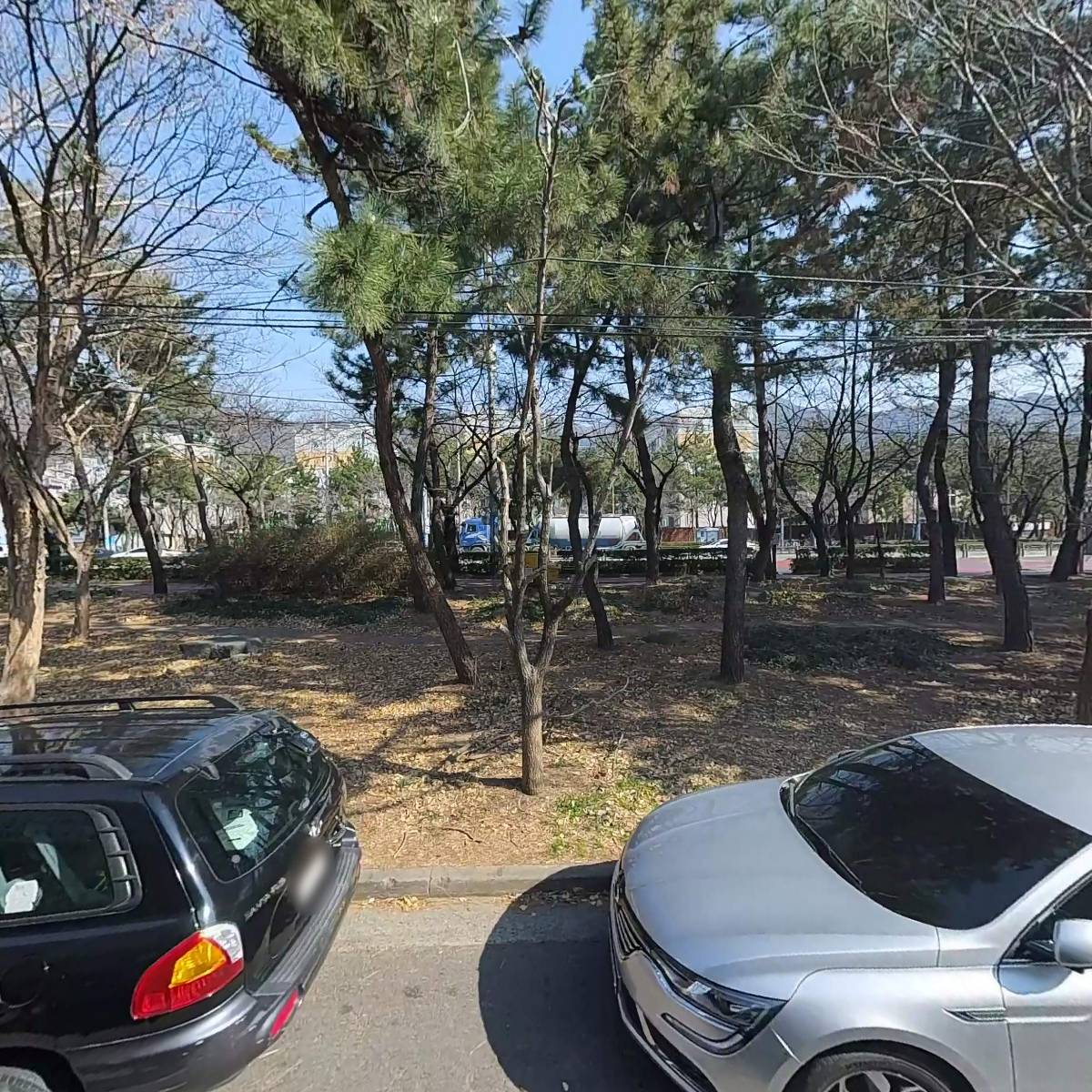 정쉐프탕수육_3