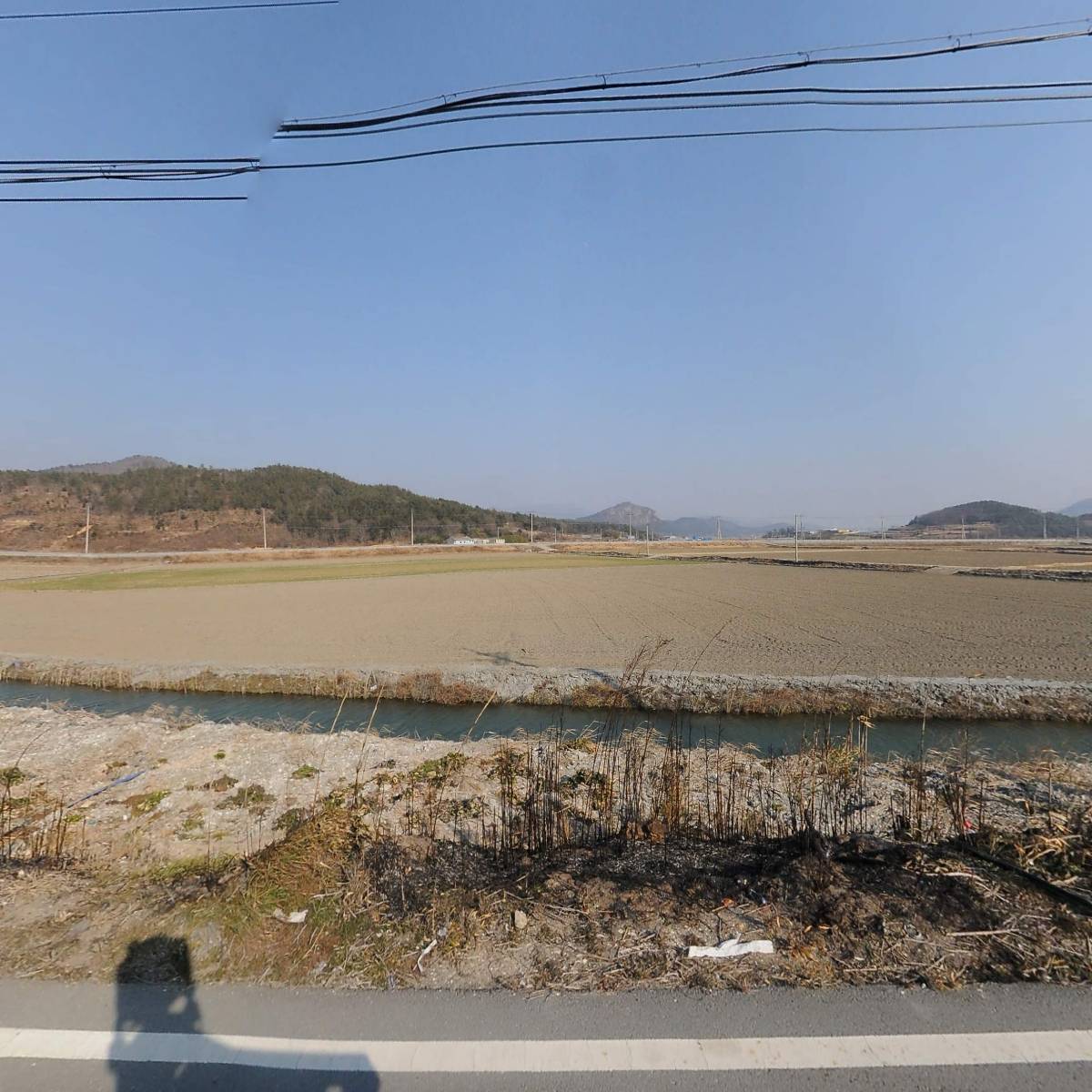 행주네 절임배추_3