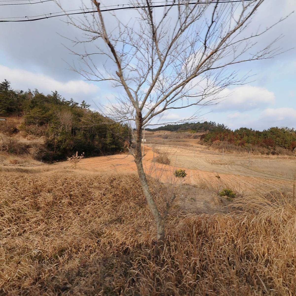 다도유통영농조합법인