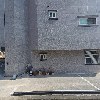 건강담은떡 시온