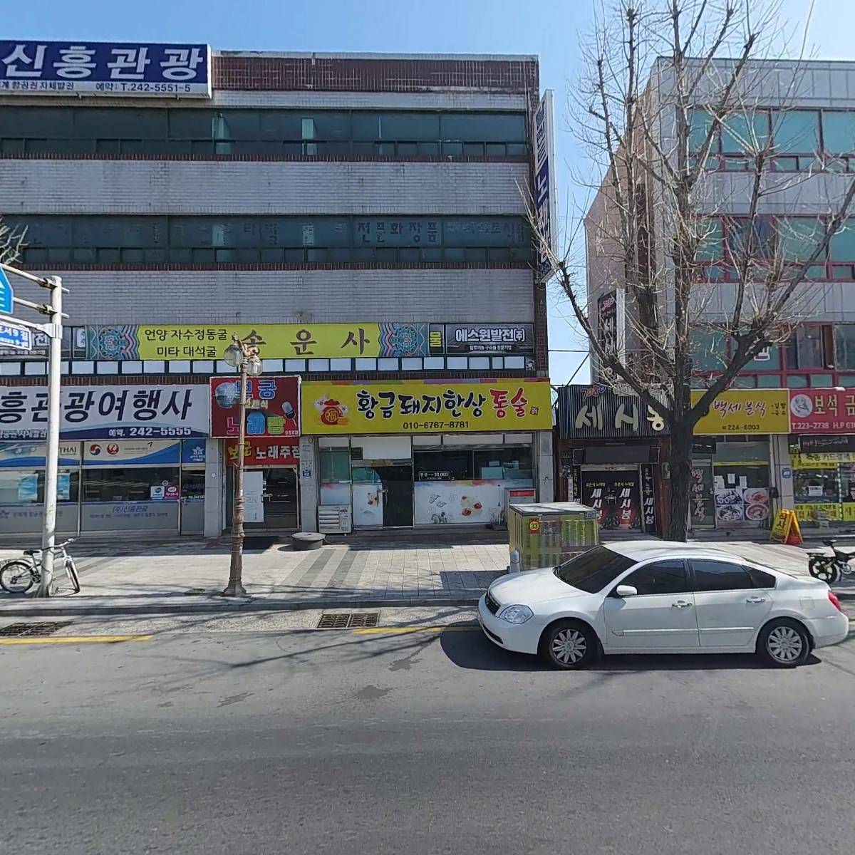 황금돼지한상_3