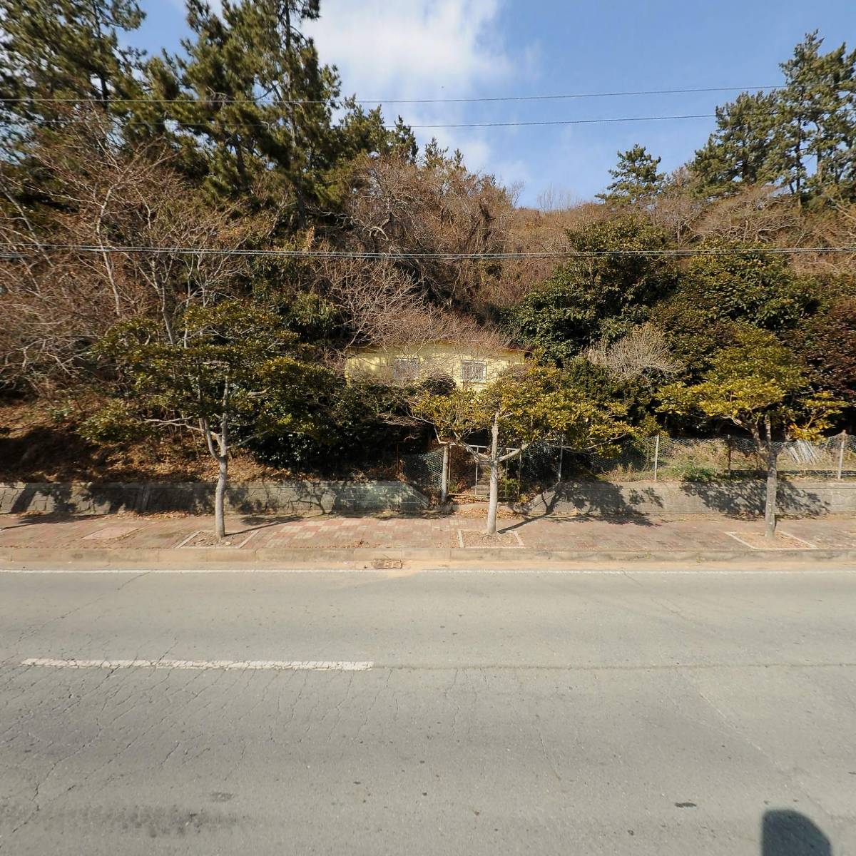 (사)녹색전국연합 완도군지부_3