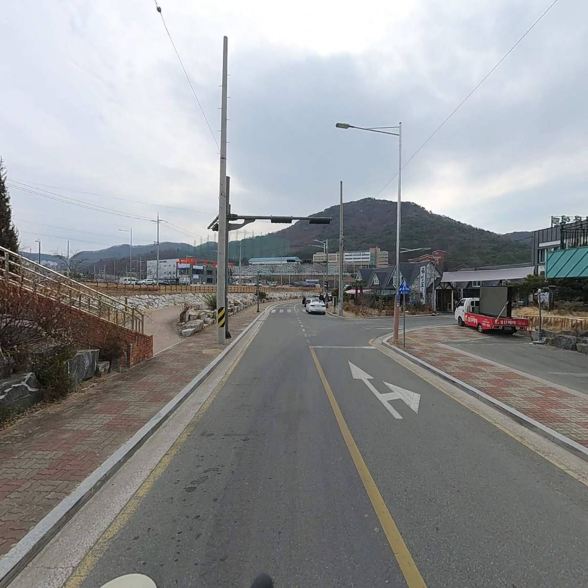 등대장어_2
