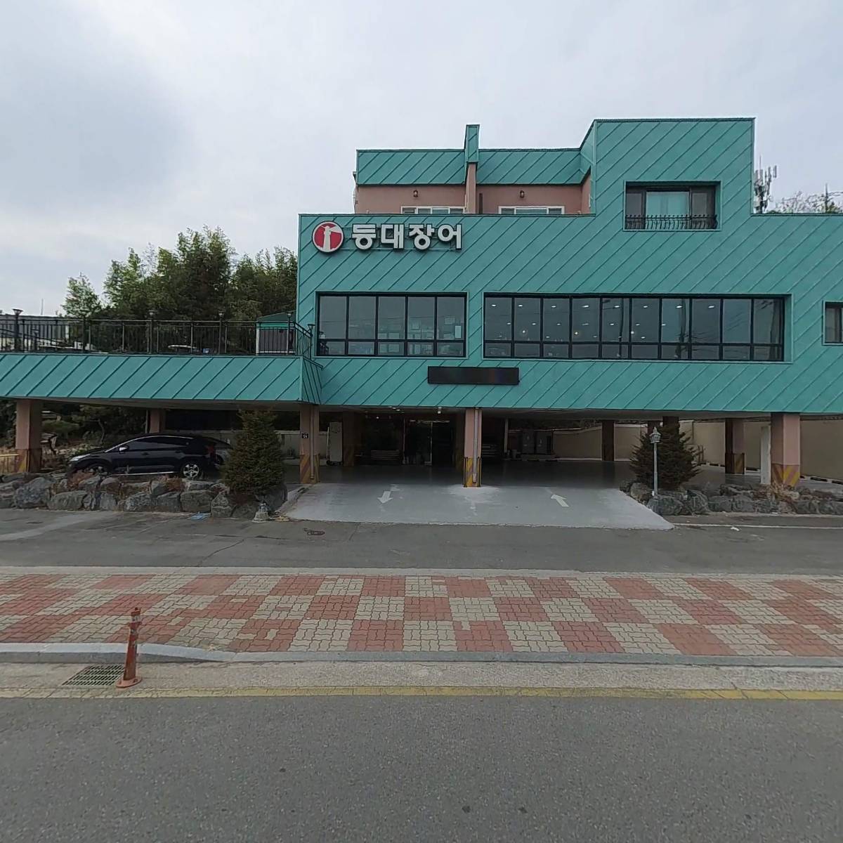 등대장어_3