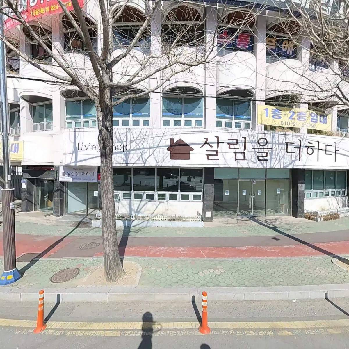 맥스체대입시