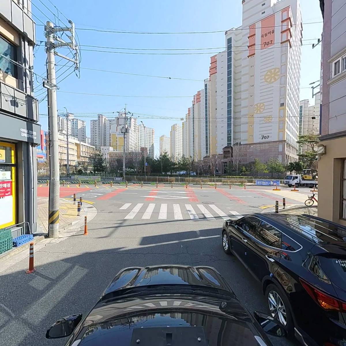 마마스미독 강아지 분양 김해점_4