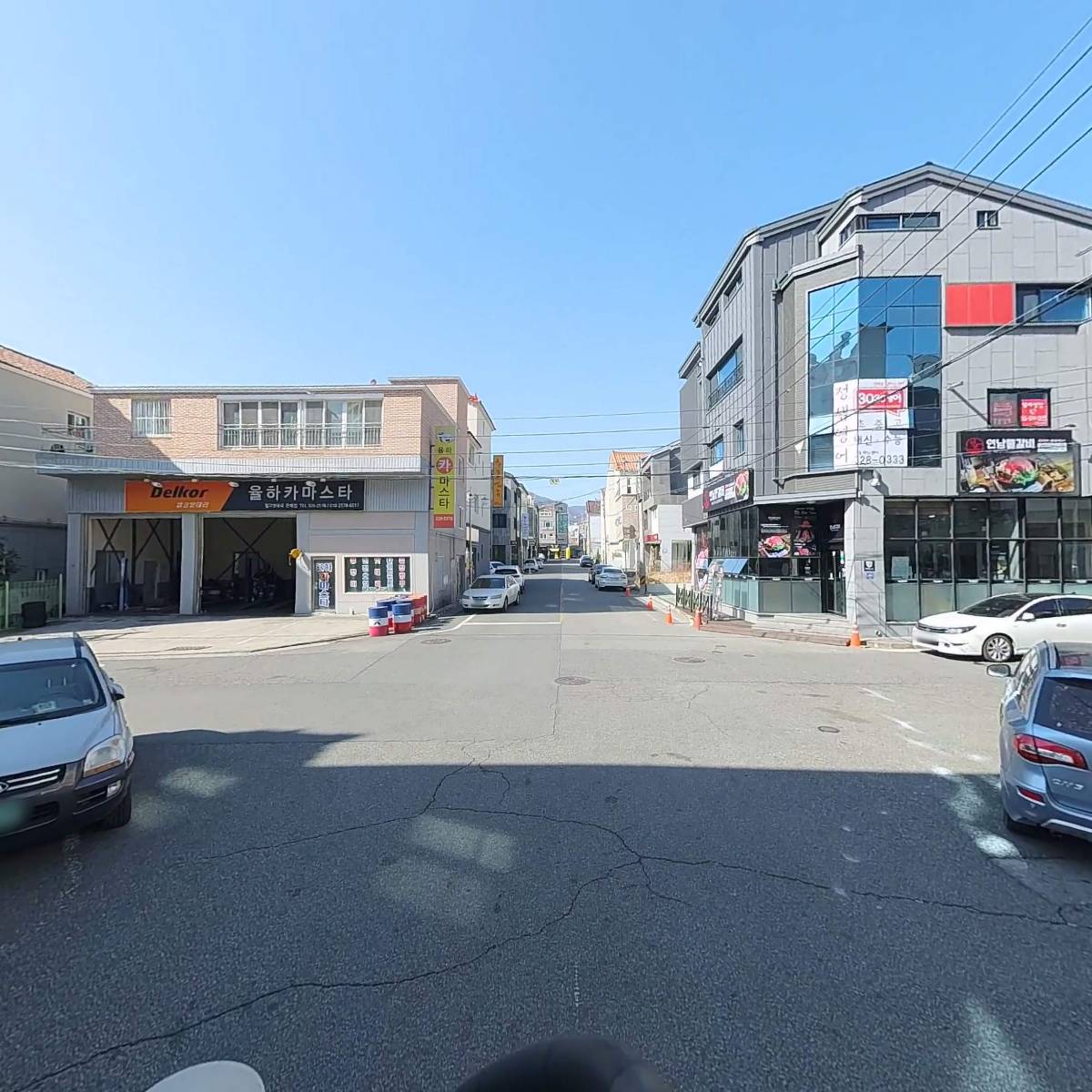 마마스미독 강아지 분양 김해점_2