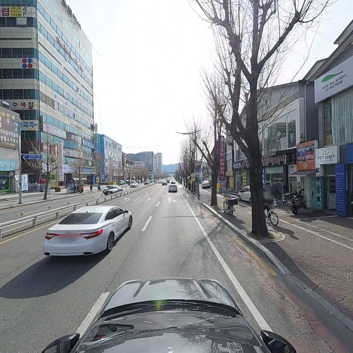 초록물고기사진관_4