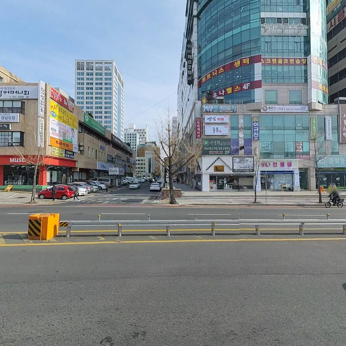 초록물고기사진관_3