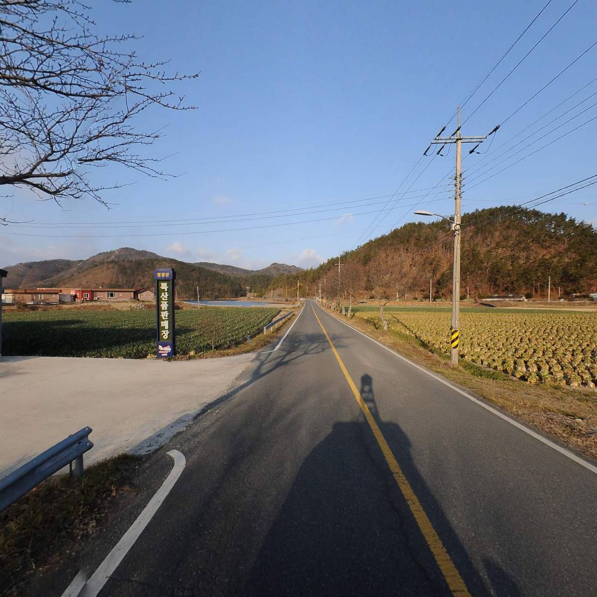 진도군표고버섯생산자영농조합법인_2