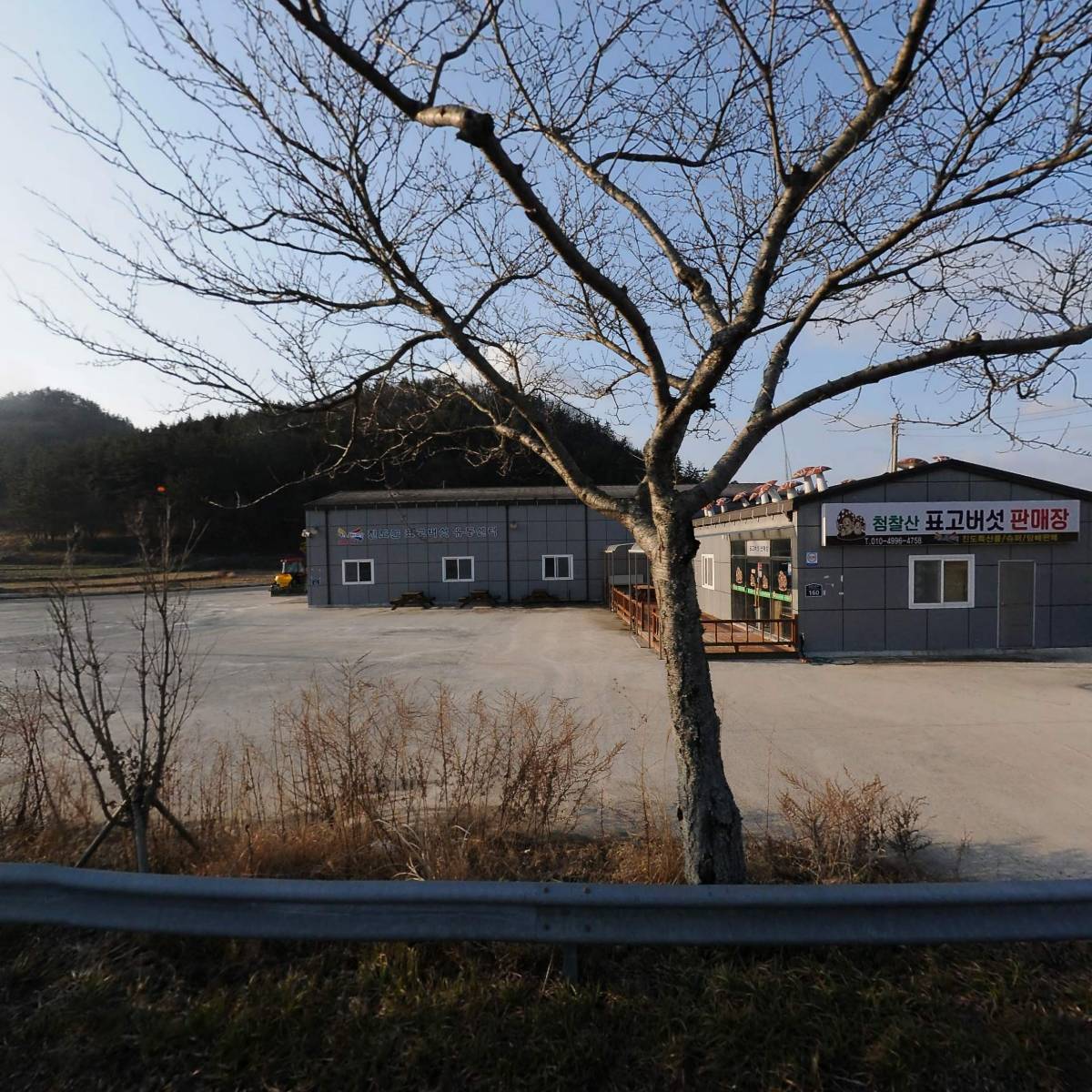 진도군표고버섯생산자영농조합법인