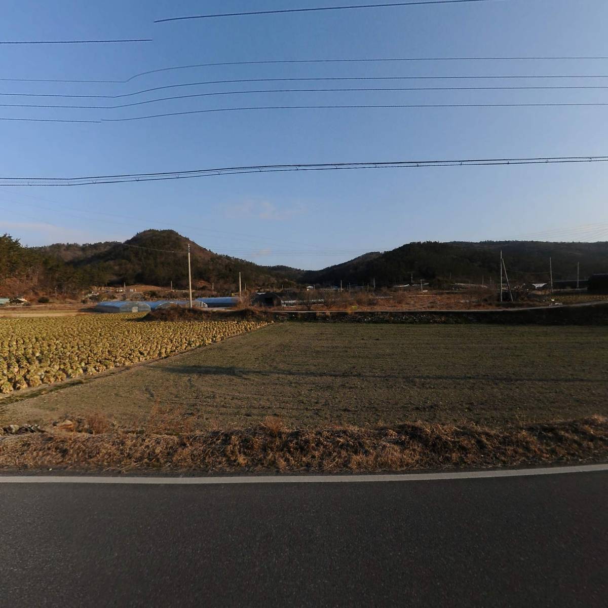 진도군표고버섯생산자영농조합법인_3