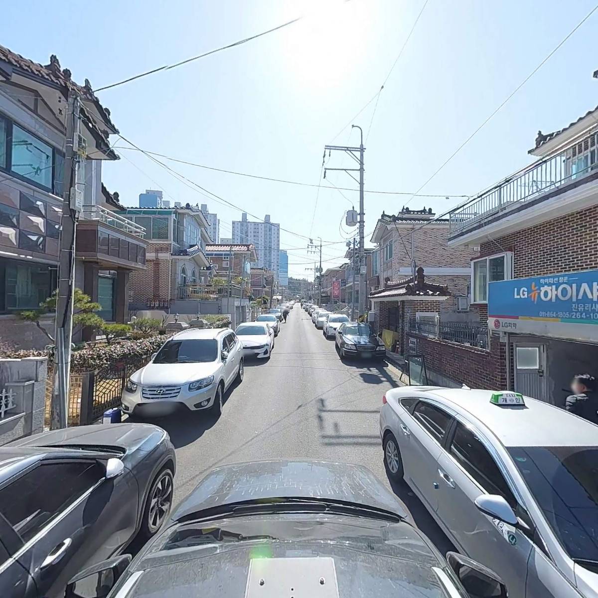 (사)한국야생화협회 창원시성산지부_4