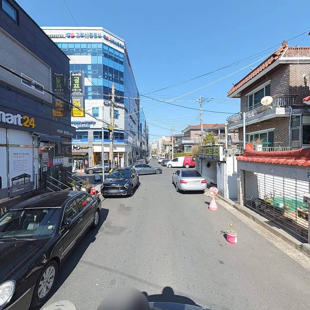 (사)한국야생화협회 창원시성산지부_2