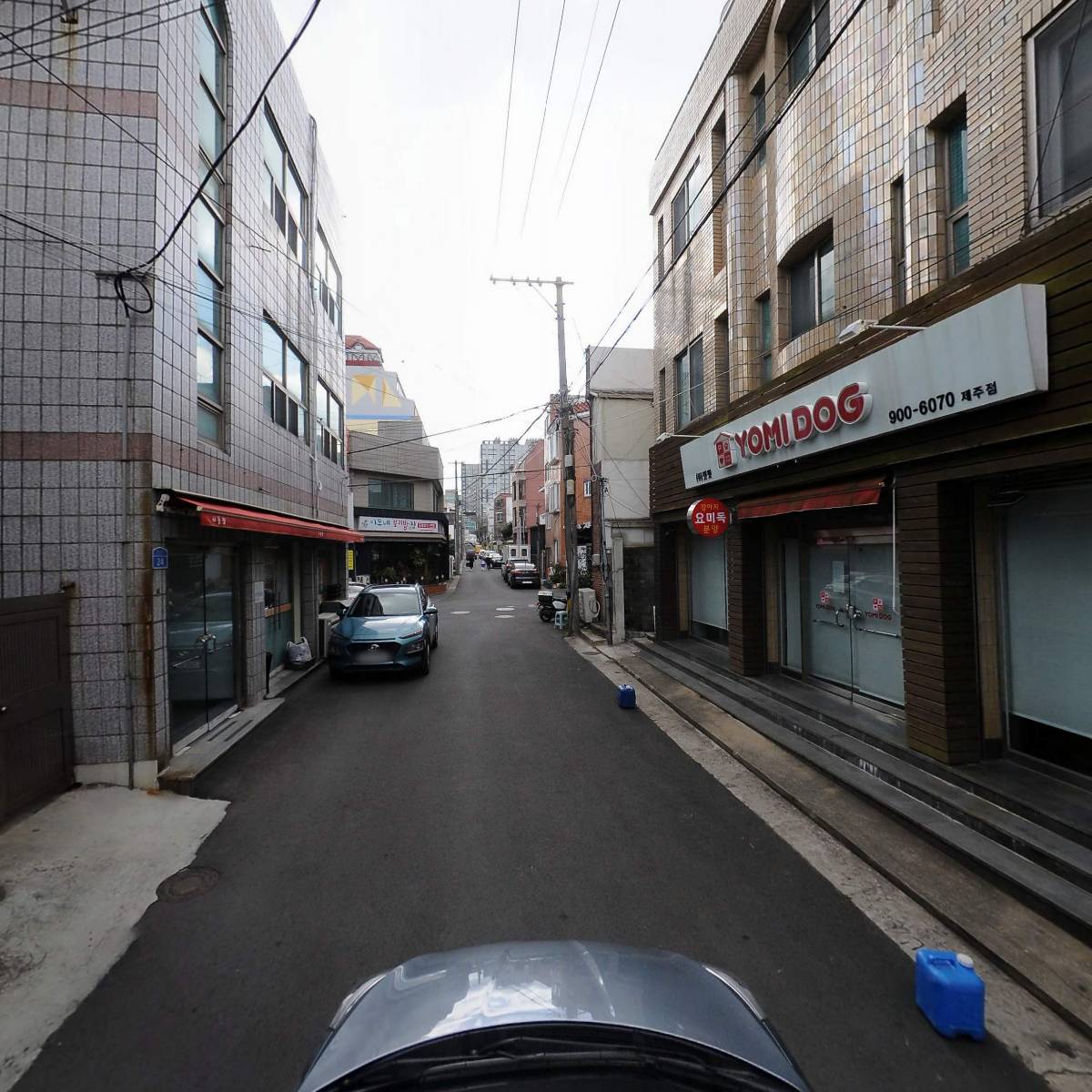 제주 강아지분양 애견샵 요미독 제주점_4