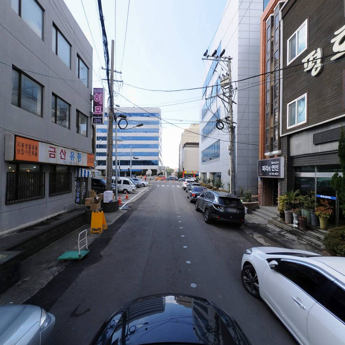 금산판촉_4