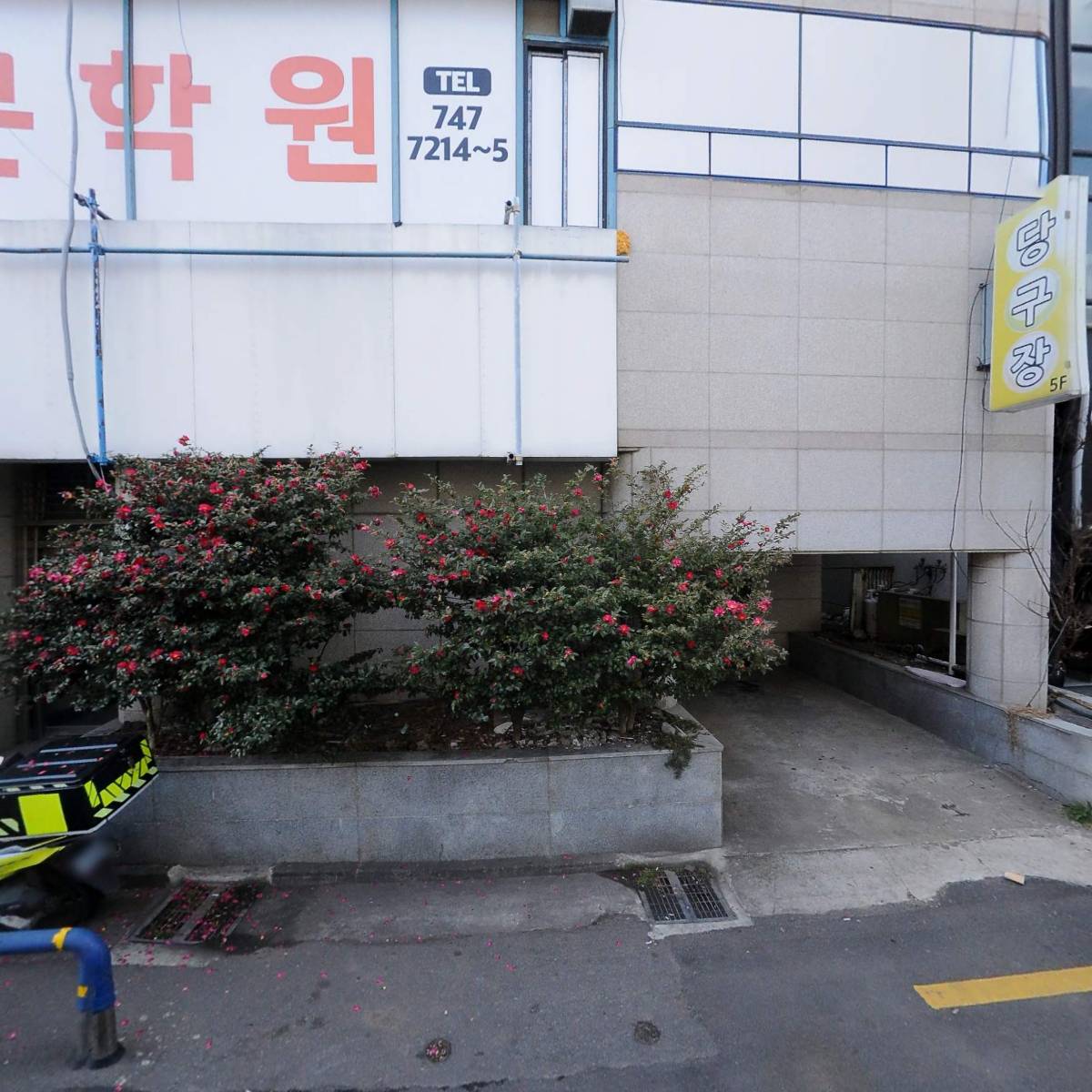 (사) 제주특별자치도지적발달장애인복지협회 제주시지부