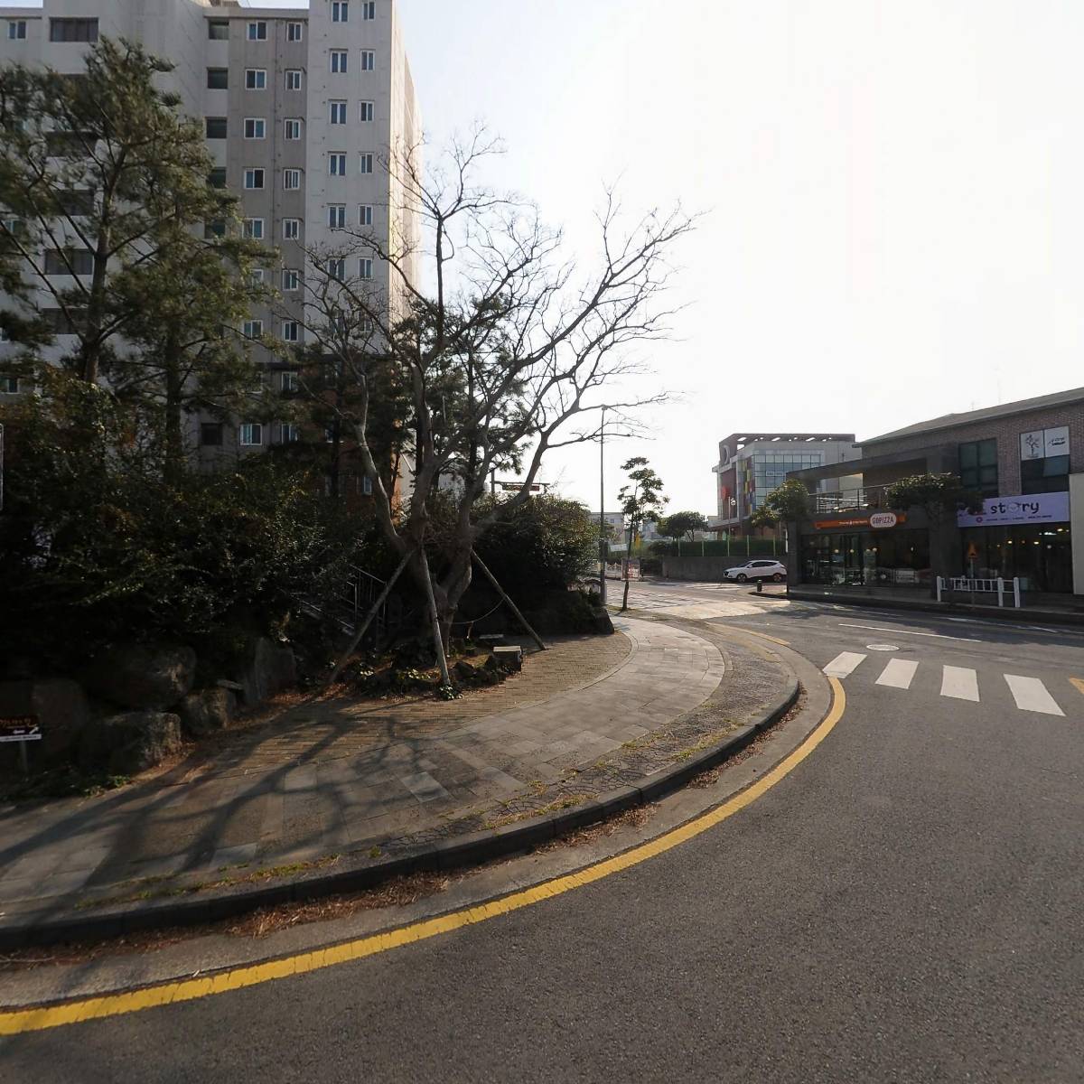 세종SJ리듬체조_3