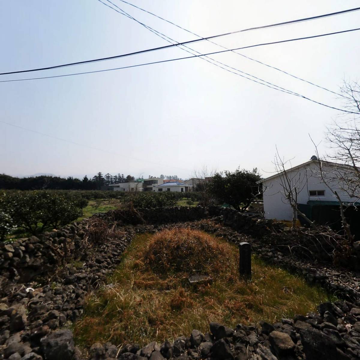 숲속작은어린이집_3