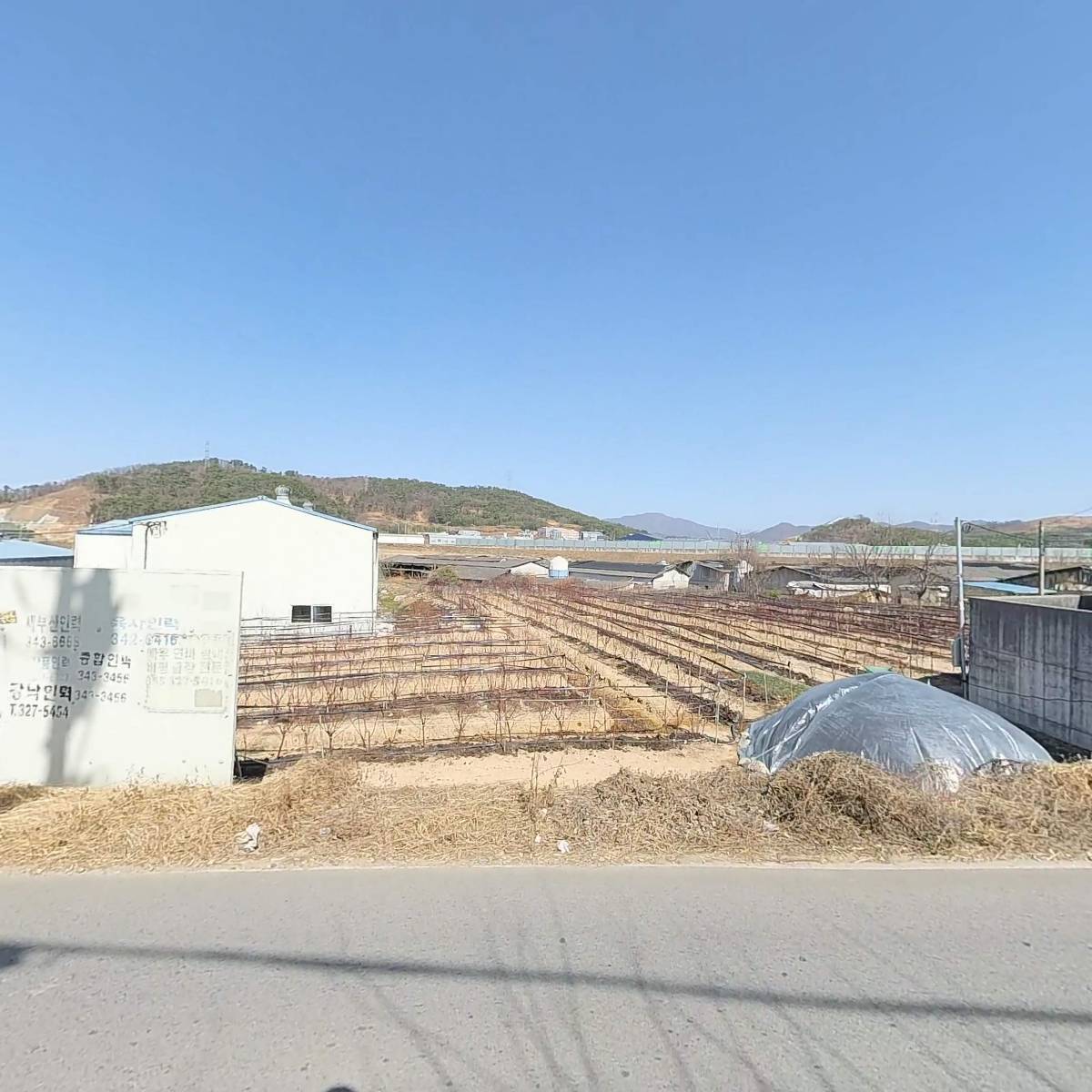 엠에스디(MSD)_3