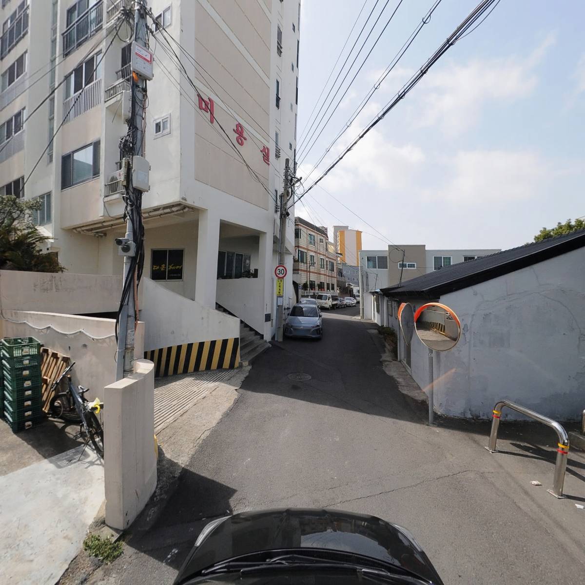 쿨펫애견미용학원_4