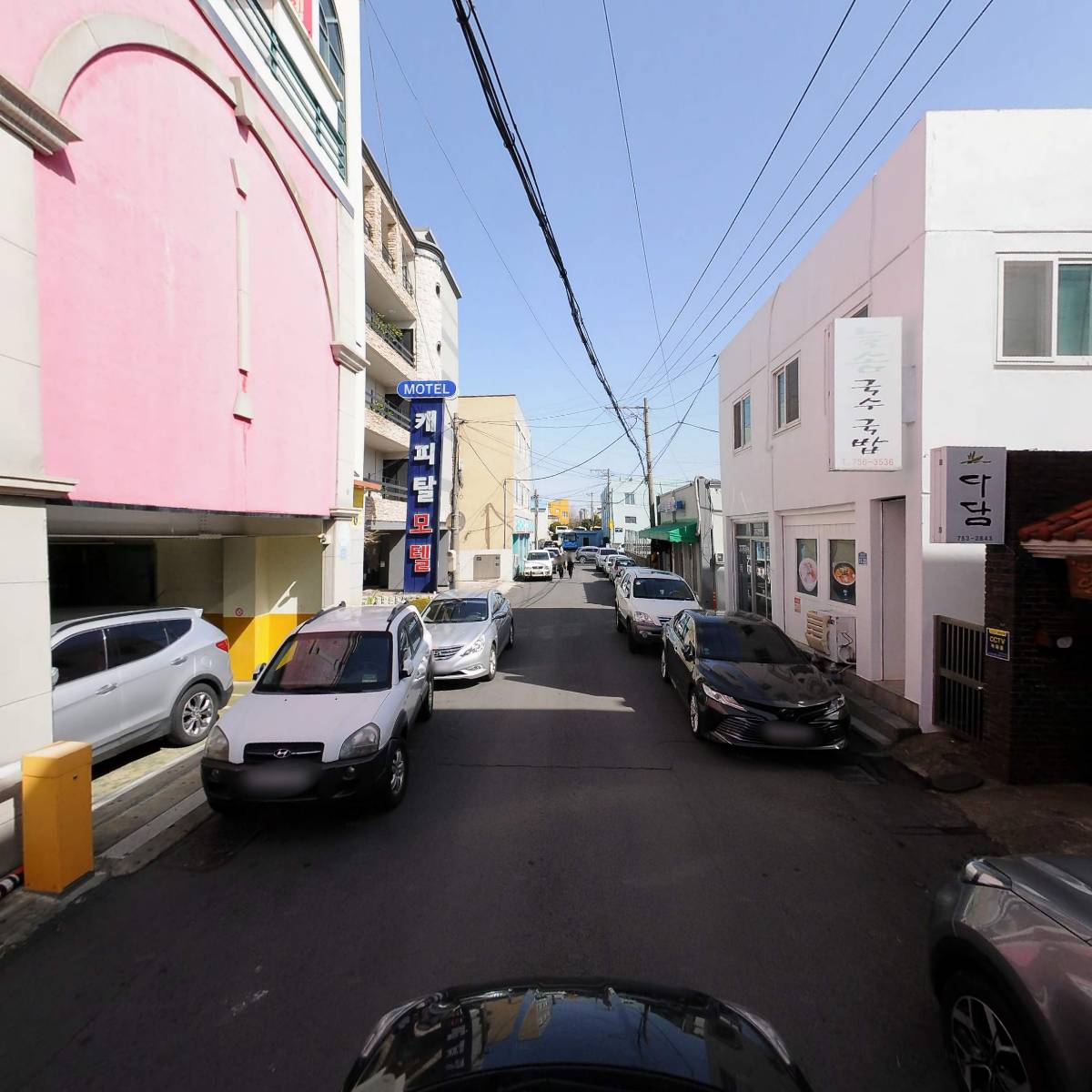 다오라콜라텍_4