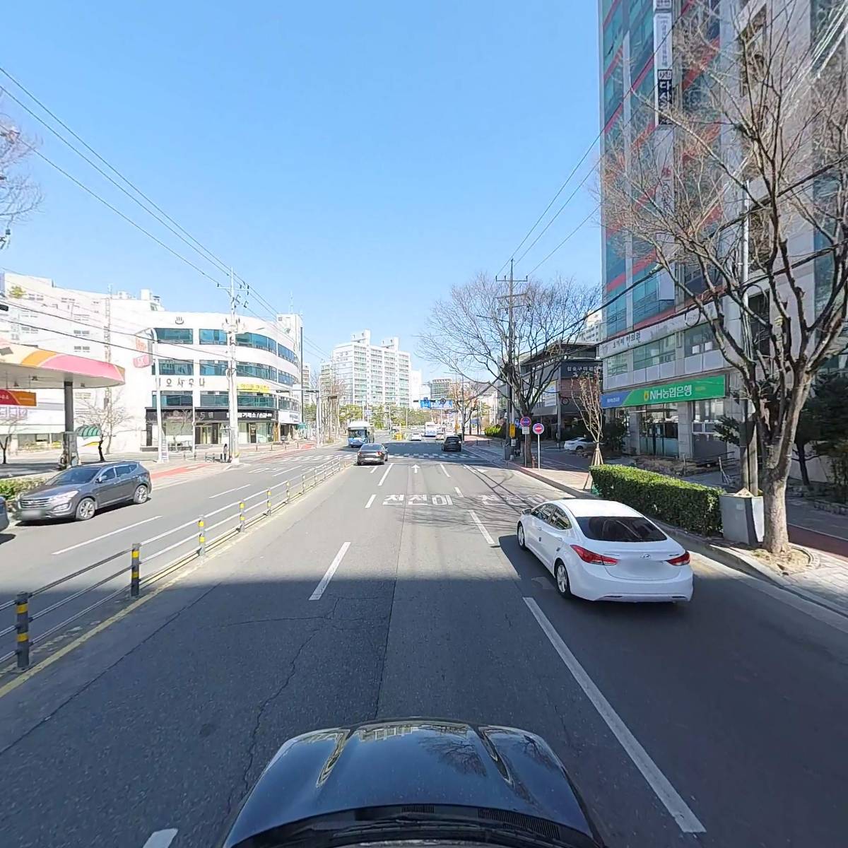 오가네_4
