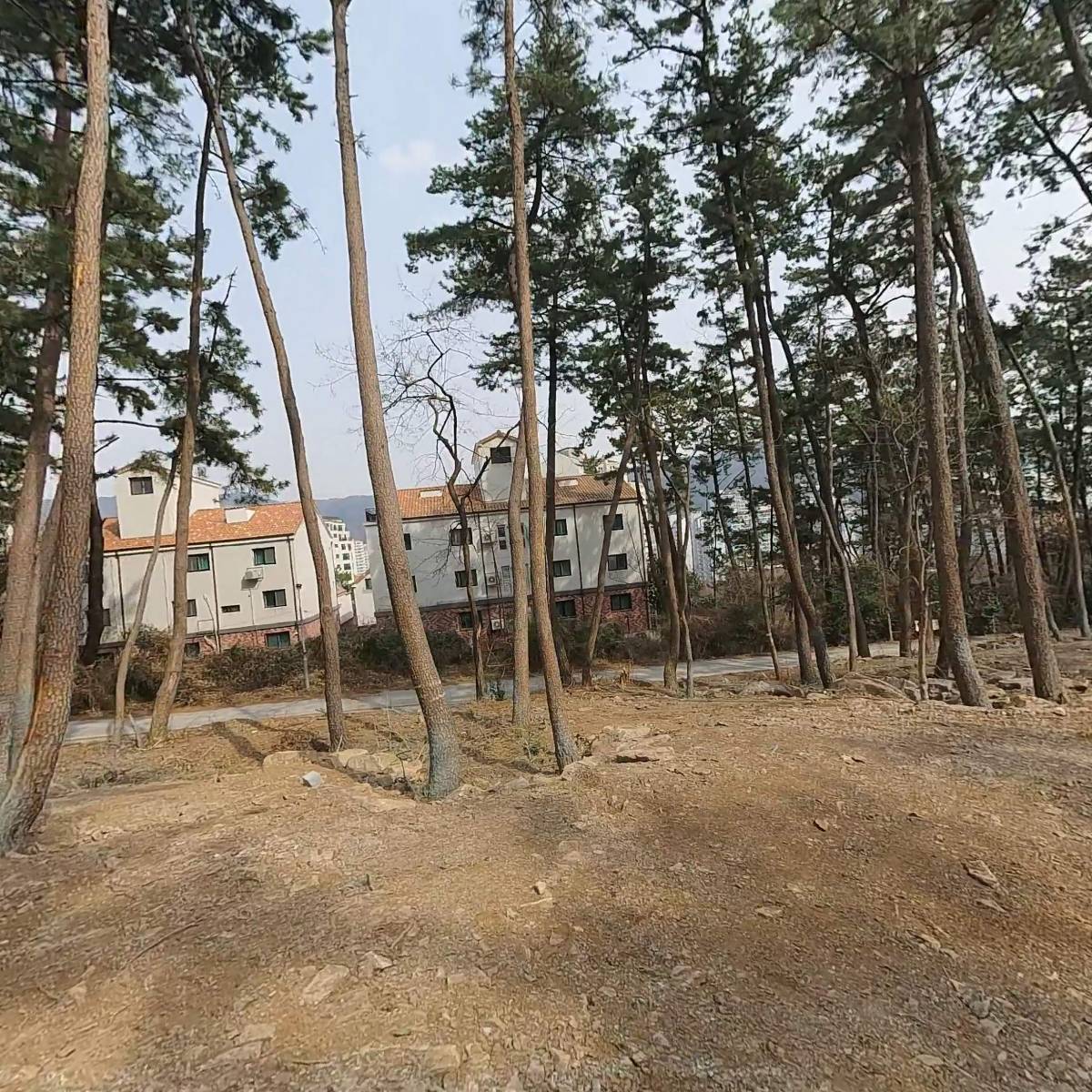 리첸하우스