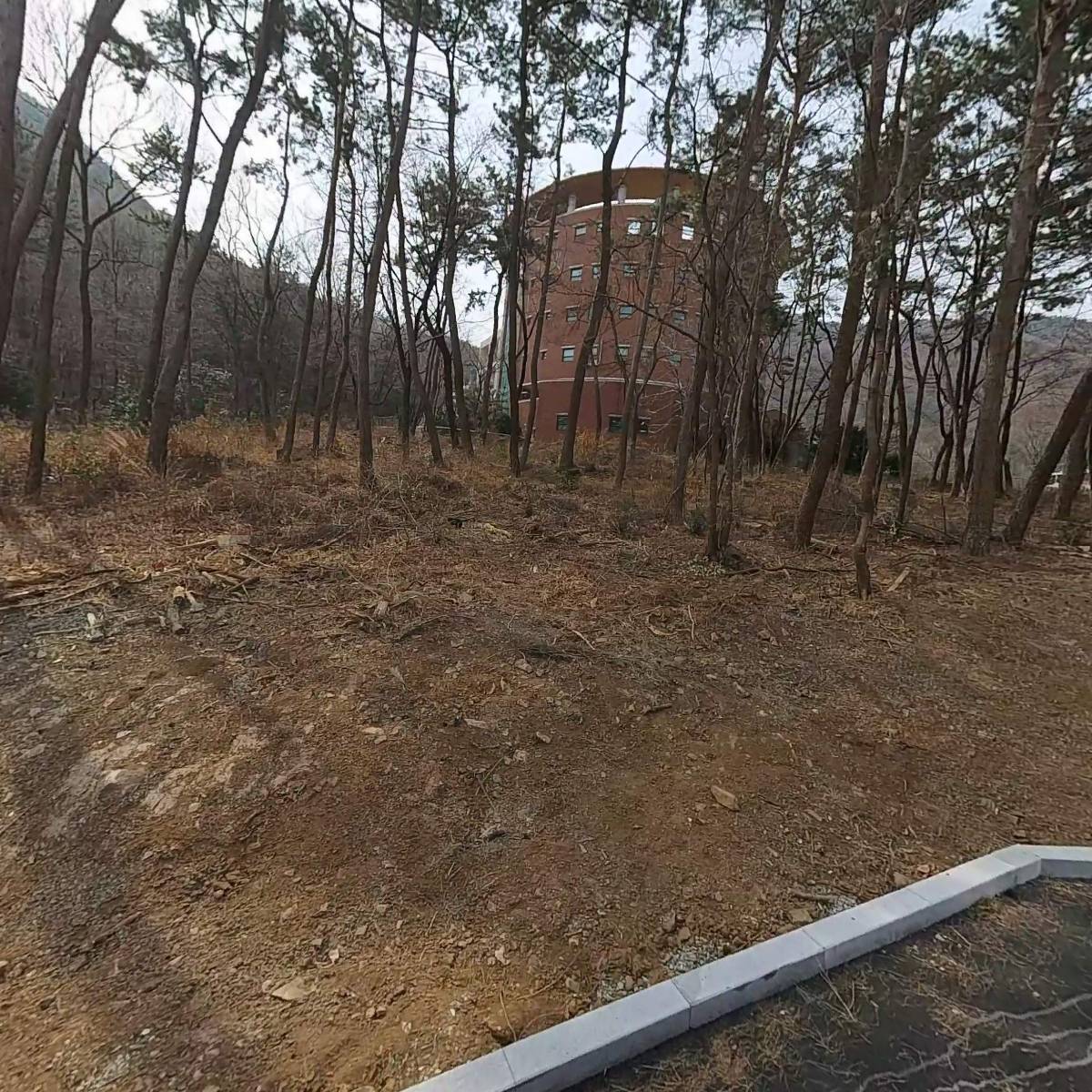 리첸하우스_3