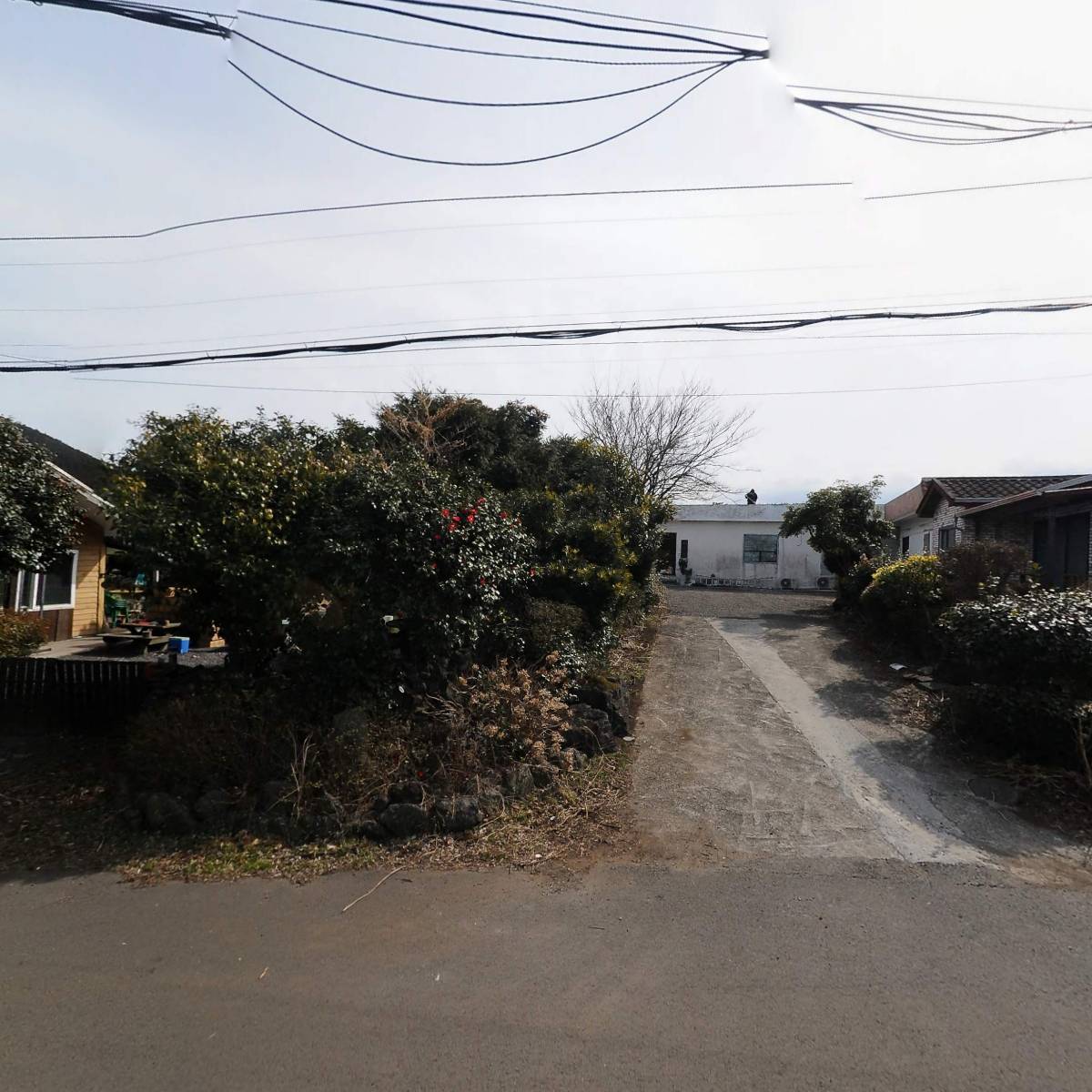 세미원 로덱스 화장품 조천지사(세미원뷰티샵)