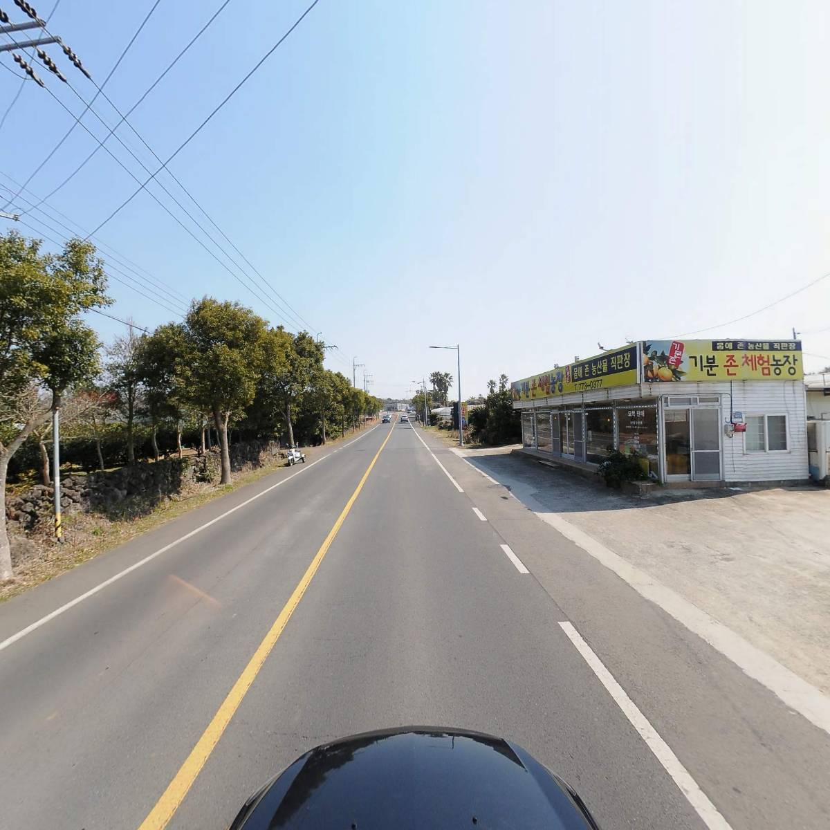 제주기분존농장 몸에존농산물직판장_4