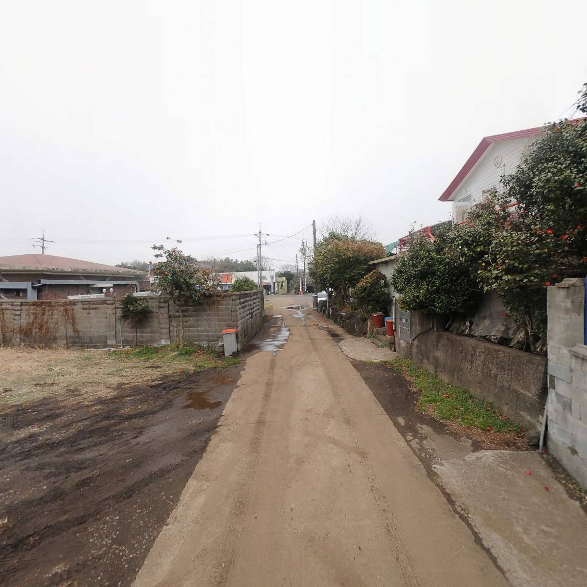 소랑드르_2