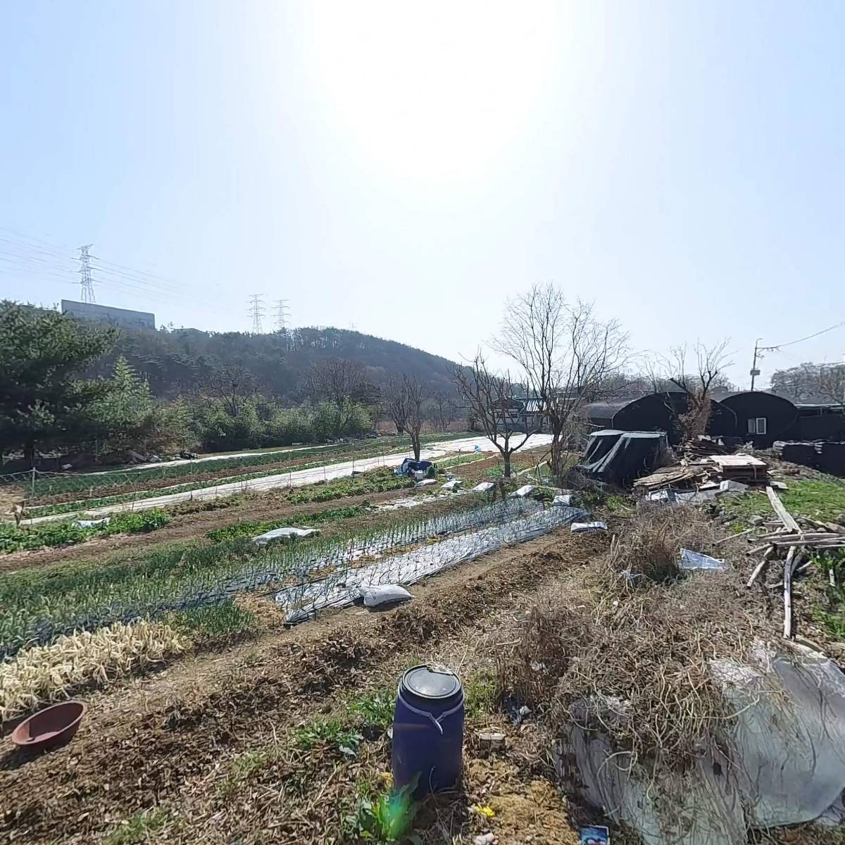 상장안 남경로당