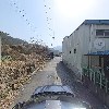 청학수지_4