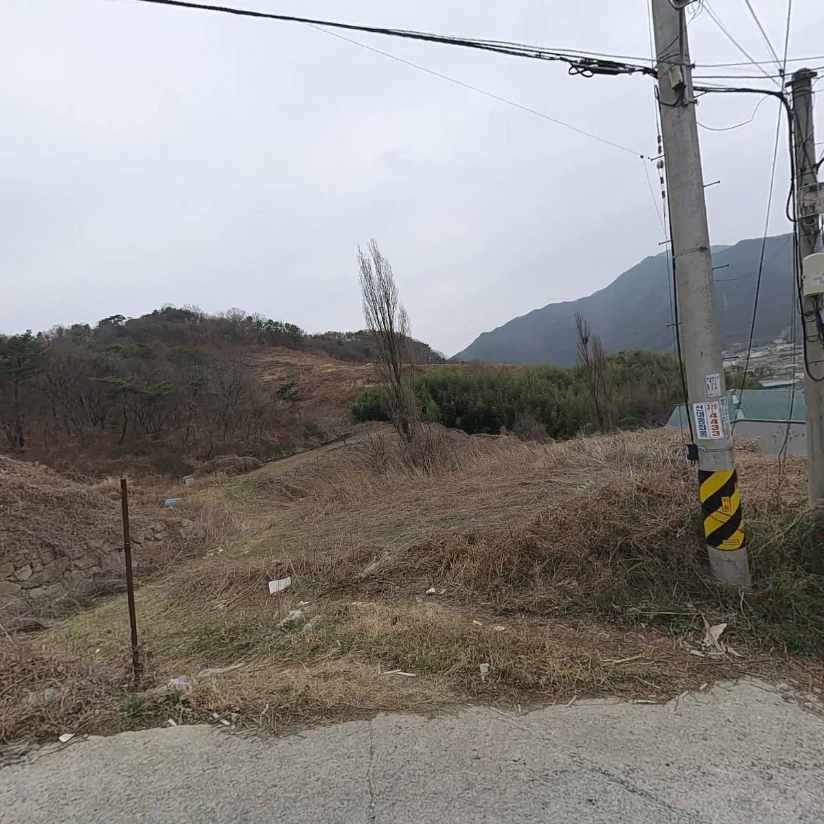 선일포장