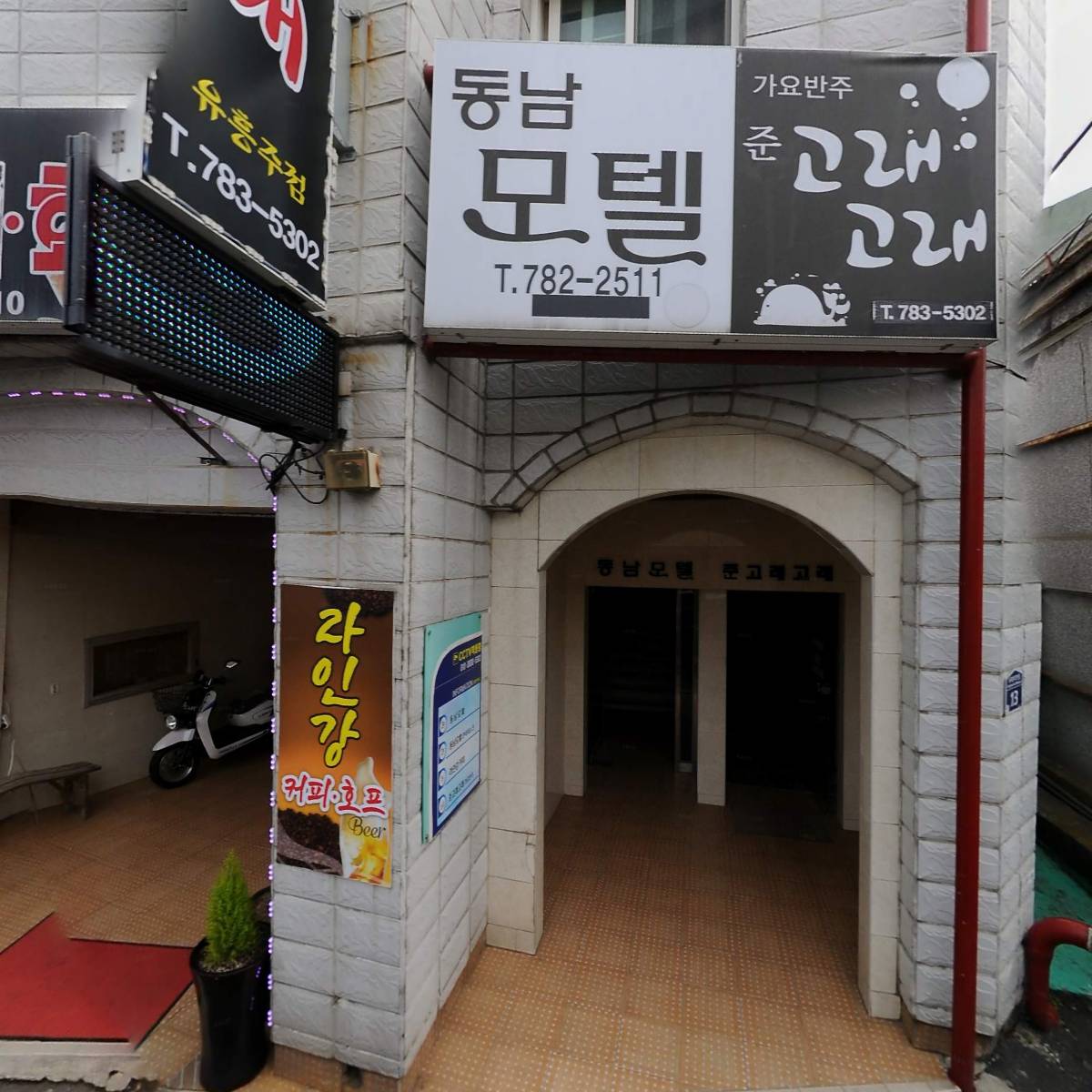 준고래고래