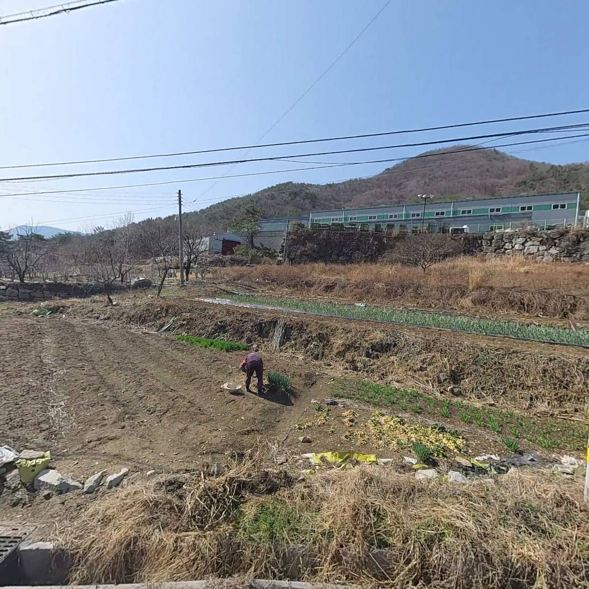 실버스타케미칼(주)