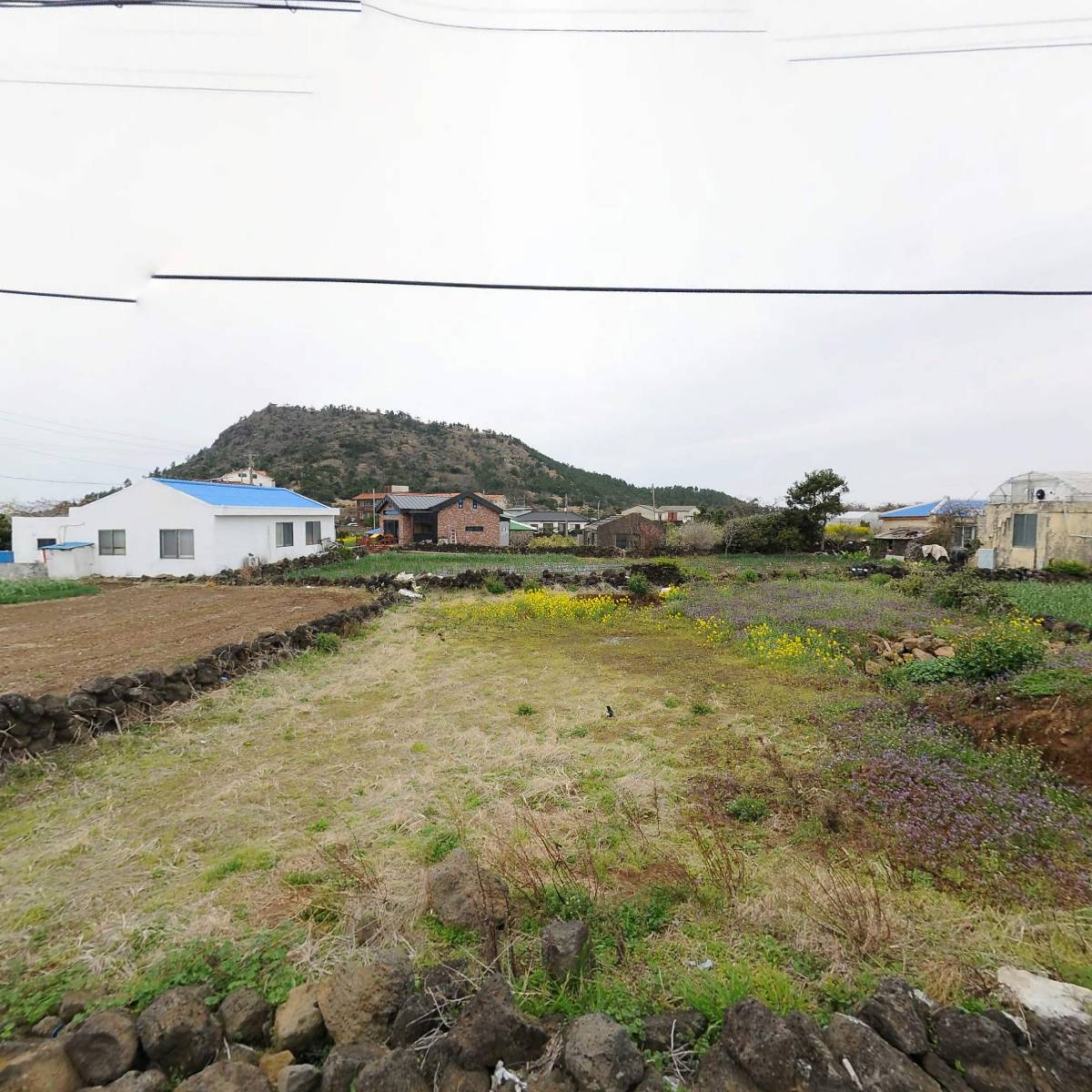 인산죽염 고산대리점_3