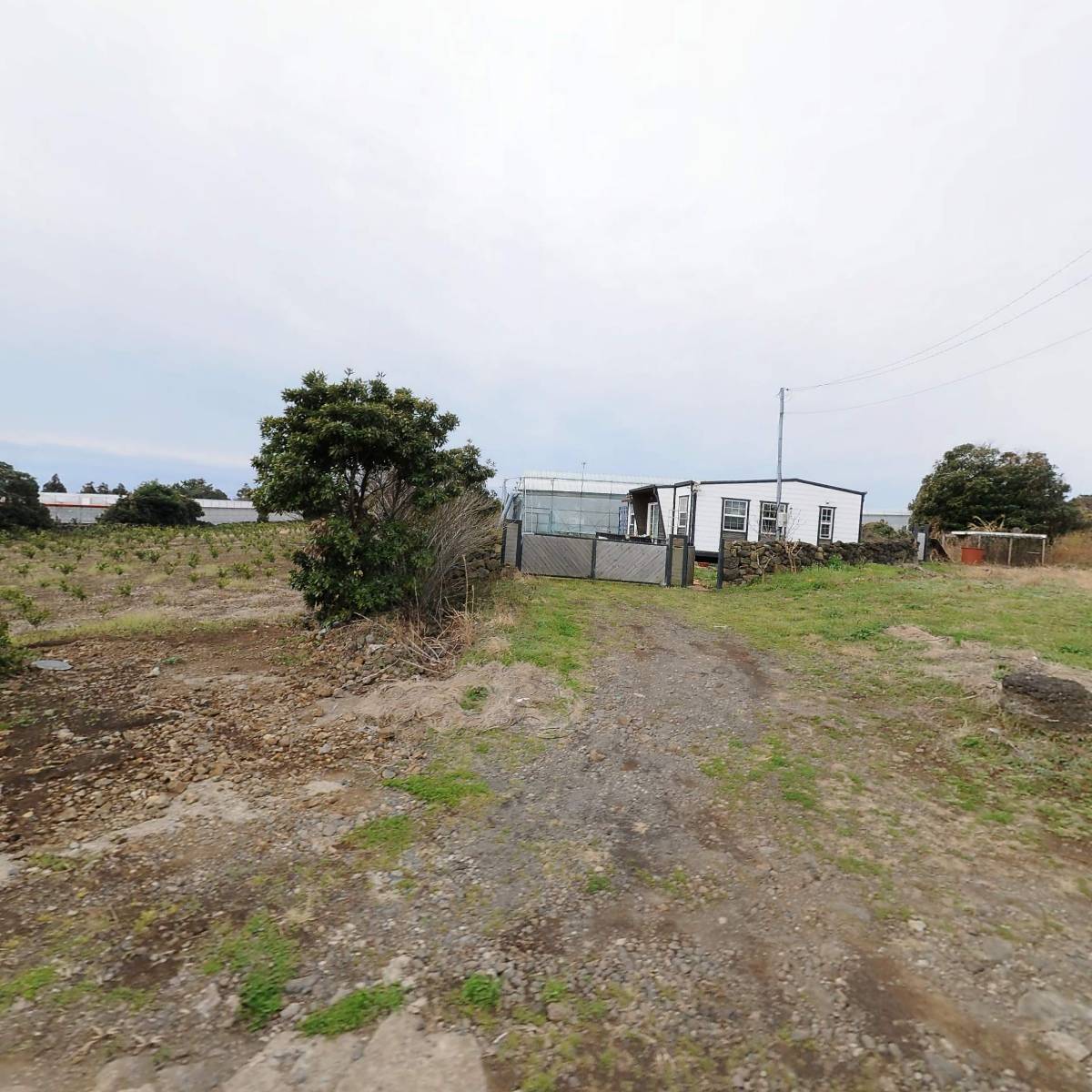 농업회사법인 주식회사 유기농나의왼손